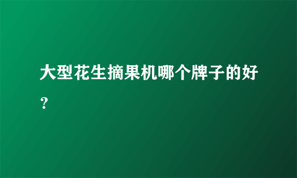 大型花生摘果机哪个牌子的好？