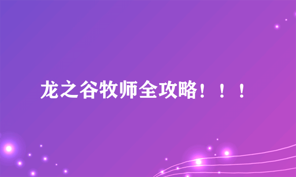 龙之谷牧师全攻略！！！