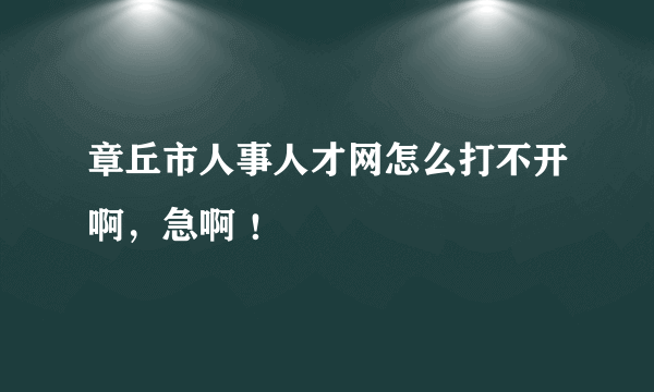 章丘市人事人才网怎么打不开啊，急啊 ！