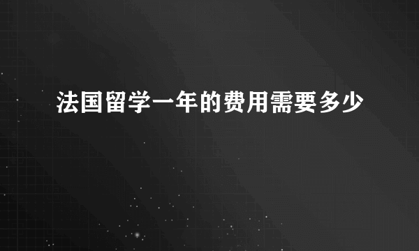 法国留学一年的费用需要多少