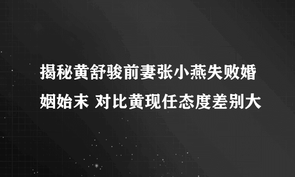 揭秘黄舒骏前妻张小燕失败婚姻始末 对比黄现任态度差别大