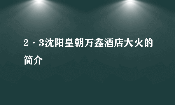 2·3沈阳皇朝万鑫酒店大火的简介