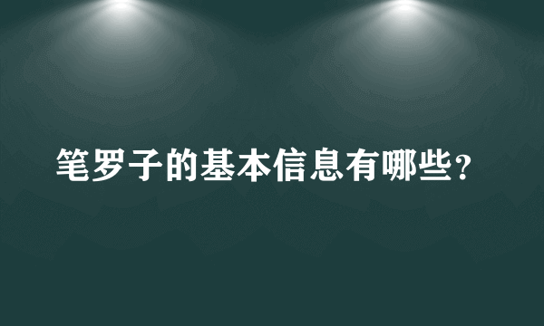 笔罗子的基本信息有哪些？