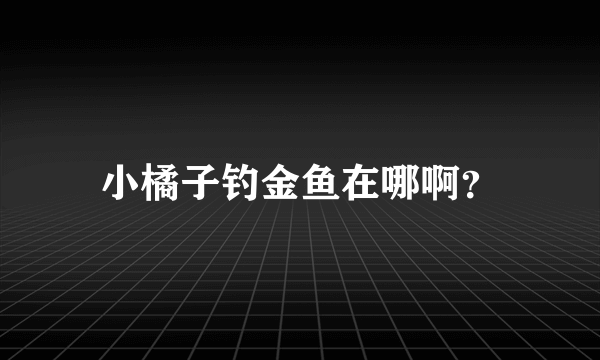 小橘子钓金鱼在哪啊？