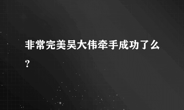 非常完美吴大伟牵手成功了么？