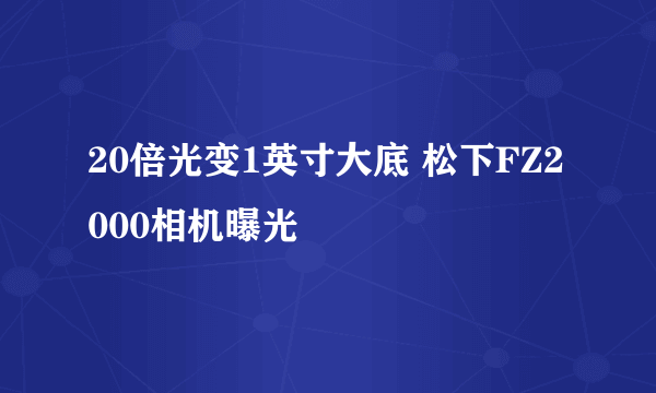 20倍光变1英寸大底 松下FZ2000相机曝光