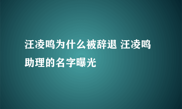 汪凌鸣为什么被辞退 汪凌鸣助理的名字曝光