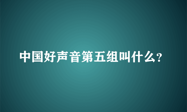 中国好声音第五组叫什么？