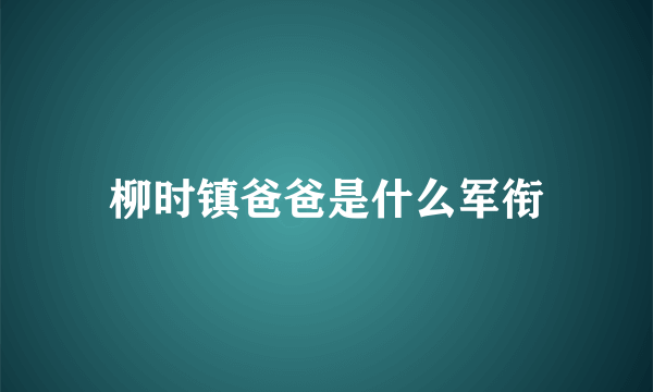 柳时镇爸爸是什么军衔