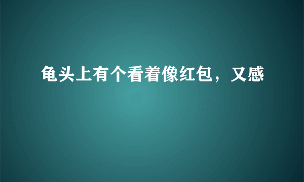 龟头上有个看着像红包，又感