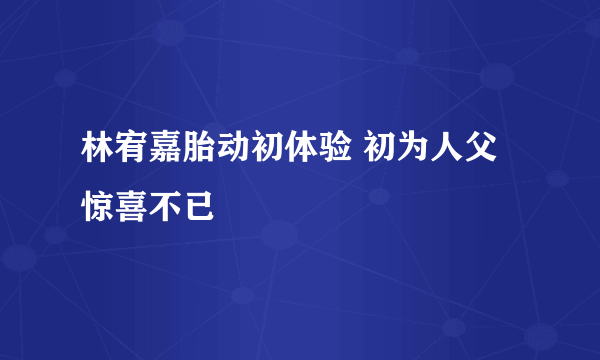 林宥嘉胎动初体验 初为人父惊喜不已