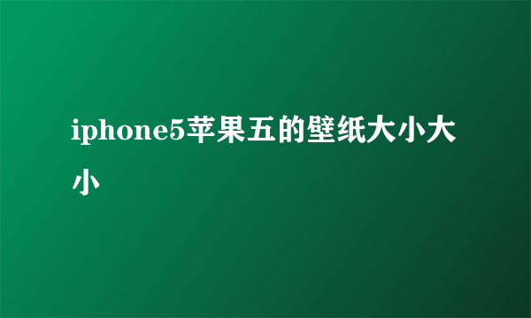 iphone5苹果五的壁纸大小大小