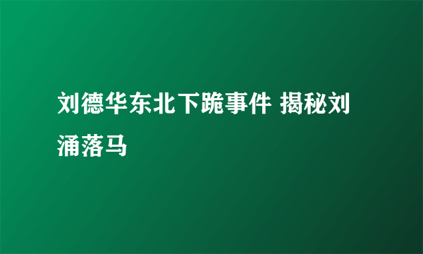 刘德华东北下跪事件 揭秘刘涌落马