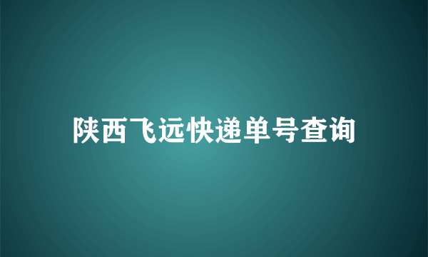 陕西飞远快递单号查询