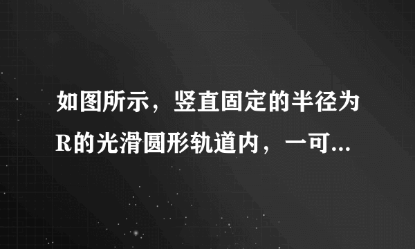 如图所示，竖直固定的半径为R的光滑圆形轨道内，一可视为质点的小球顺时针运动通过轨道最低点P时，对轨道的压力大小为5mg，已知重力加速度为g，不计空气阻力，下列说法中正确的（　　）A.小球通过P点时的速度大小为$\sqrt{5gR}$