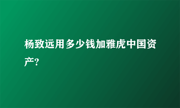 杨致远用多少钱加雅虎中国资产?