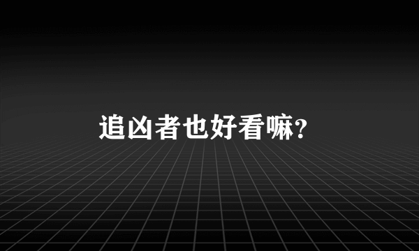 追凶者也好看嘛？