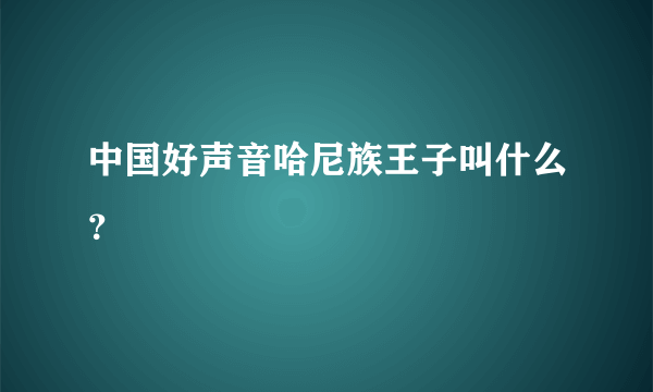 中国好声音哈尼族王子叫什么？