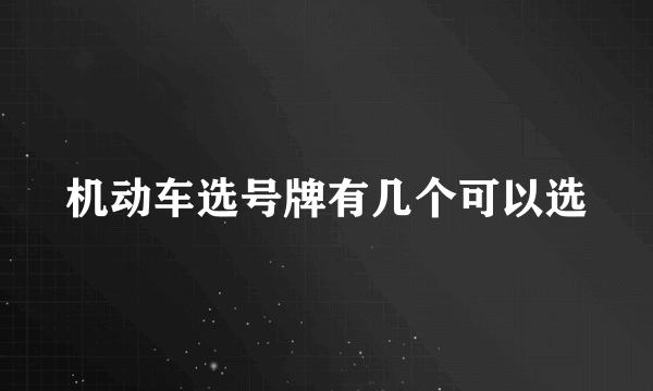 机动车选号牌有几个可以选