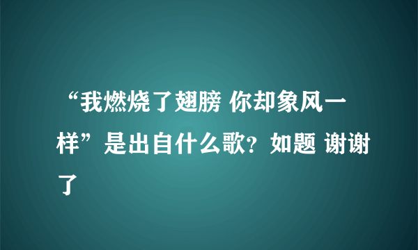 “我燃烧了翅膀 你却象风一样”是出自什么歌？如题 谢谢了