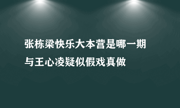 张栋梁快乐大本营是哪一期 与王心凌疑似假戏真做