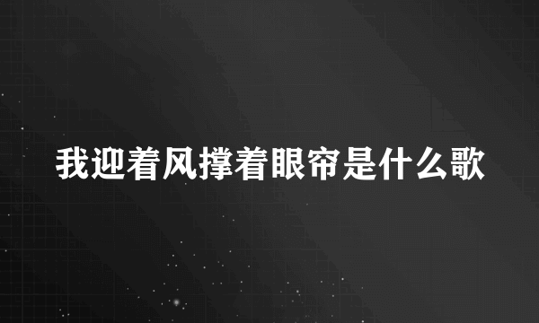 我迎着风撑着眼帘是什么歌