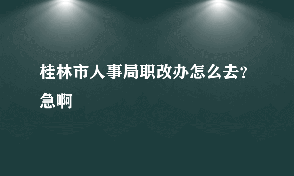 桂林市人事局职改办怎么去？急啊