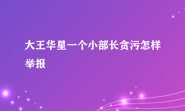 大王华星一个小部长贪污怎样举报