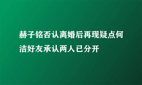 赫子铭否认离婚后再现疑点何洁好友承认两人已分开