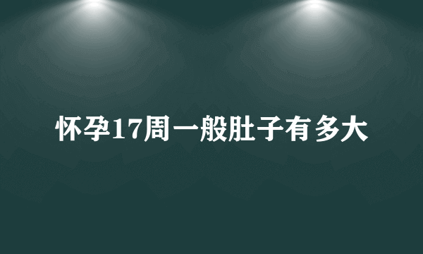 怀孕17周一般肚子有多大