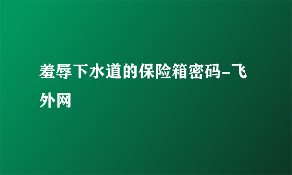 羞辱下水道的保险箱密码-飞外网