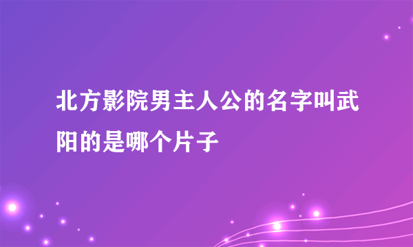 北方影院男主人公的名字叫武阳的是哪个片子