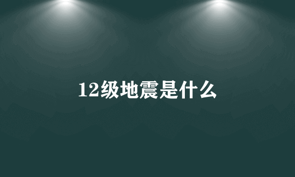 12级地震是什么