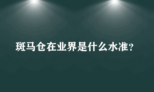 斑马仓在业界是什么水准？