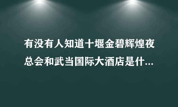 有没有人知道十堰金碧辉煌夜总会和武当国际大酒店是什么关系？是一家的吗？