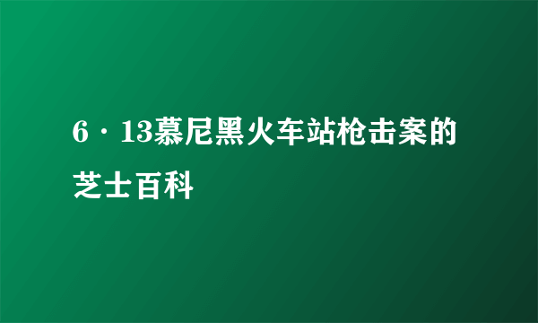 6·13慕尼黑火车站枪击案的芝士百科