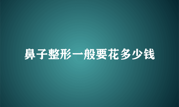 鼻子整形一般要花多少钱