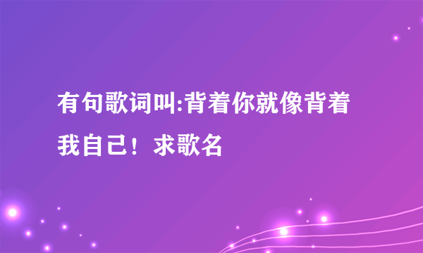 有句歌词叫:背着你就像背着我自己！求歌名