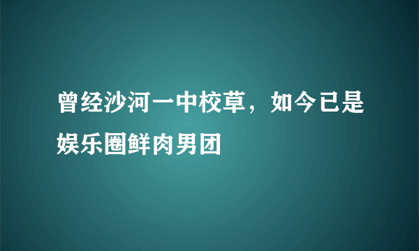 曾经沙河一中校草，如今已是娱乐圈鲜肉男团