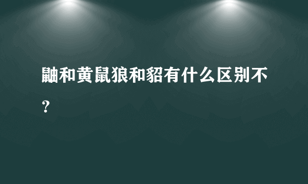 鼬和黄鼠狼和貂有什么区别不？