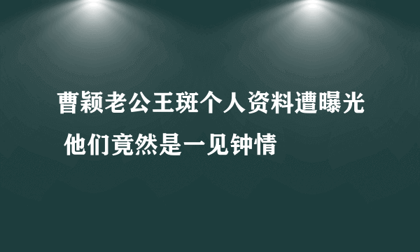 曹颖老公王斑个人资料遭曝光 他们竟然是一见钟情