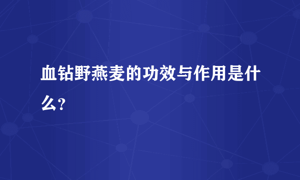 血钻野燕麦的功效与作用是什么？