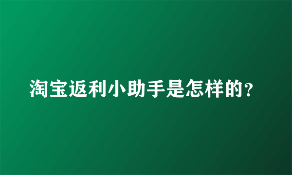 淘宝返利小助手是怎样的？