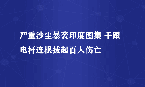 严重沙尘暴袭印度图集 千跟电杆连根拔起百人伤亡