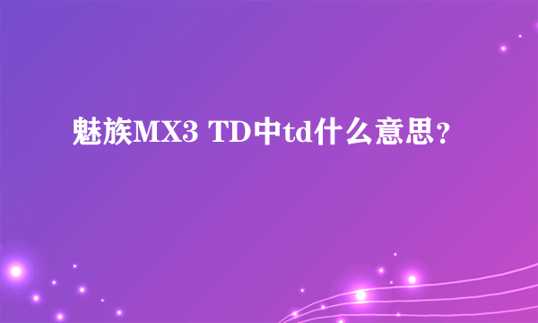 魅族MX3 TD中td什么意思？