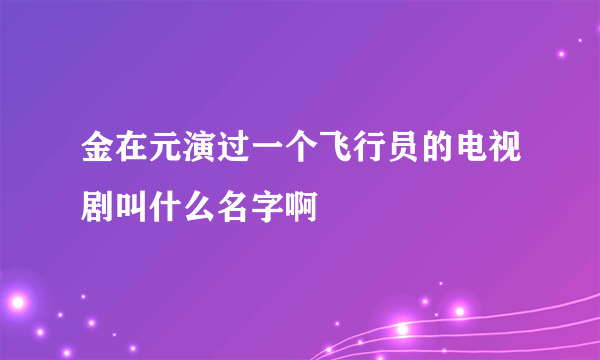 金在元演过一个飞行员的电视剧叫什么名字啊