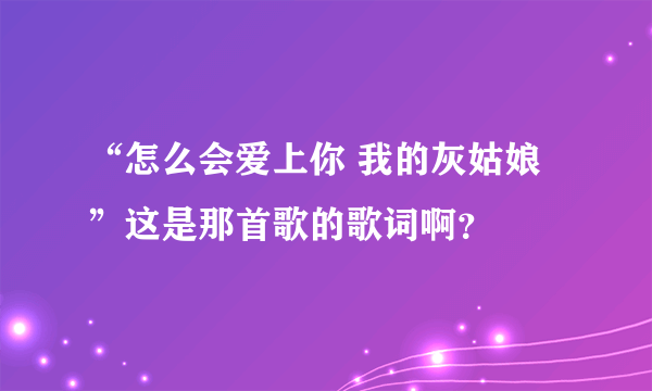 “怎么会爱上你 我的灰姑娘 ”这是那首歌的歌词啊？