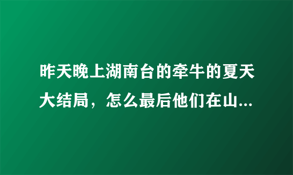 昨天晚上湖南台的牵牛的夏天大结局，怎么最后他们在山上靠着还没完就结束了呢？如果是减掉了？