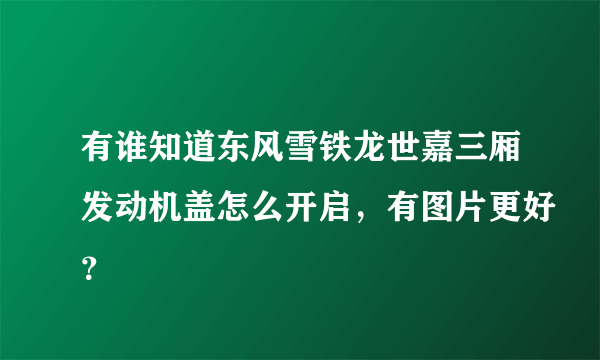 有谁知道东风雪铁龙世嘉三厢发动机盖怎么开启，有图片更好？