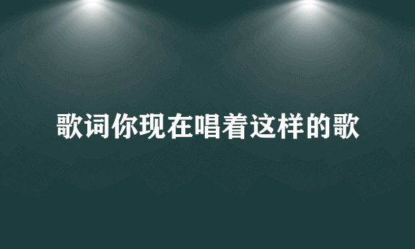 歌词你现在唱着这样的歌